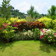 Landscape Development